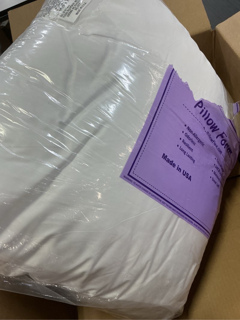 Condition photo showing Good Condition for Edow Throw Pillow Insert, Lightweight Soft Polyester Down Alternative Decorative Pillow, Sham Stuffer, Machine Washable 22x22 (White, 1 Count (Pack of 1)) 22"x22"