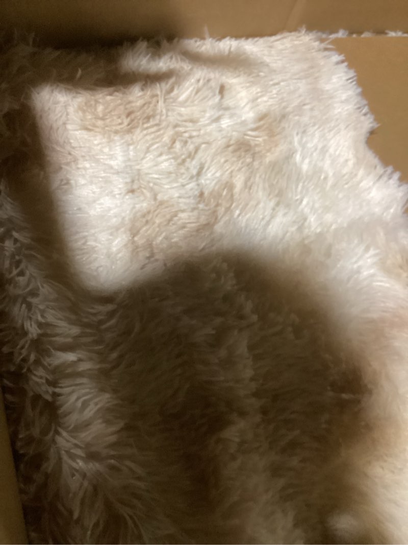 Condition photo showing New/Like New for 6x9 shag area rugs for bedroom, indoor soft shaggy rugs for living room, anti-slip fluffy fuzzy furry plush rugs for kids girls room decor, tie-dyed beige tie-dyed beige 6' x 9' (rectangular)