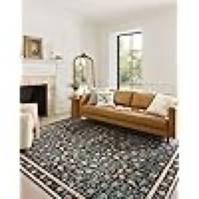 (Similar)Loloi Rifle Paper Co. Eden Collection EDE-02 Mughal Garden Black 7'-6\" x 9'-6\" Area Rug feat. CloudPile™