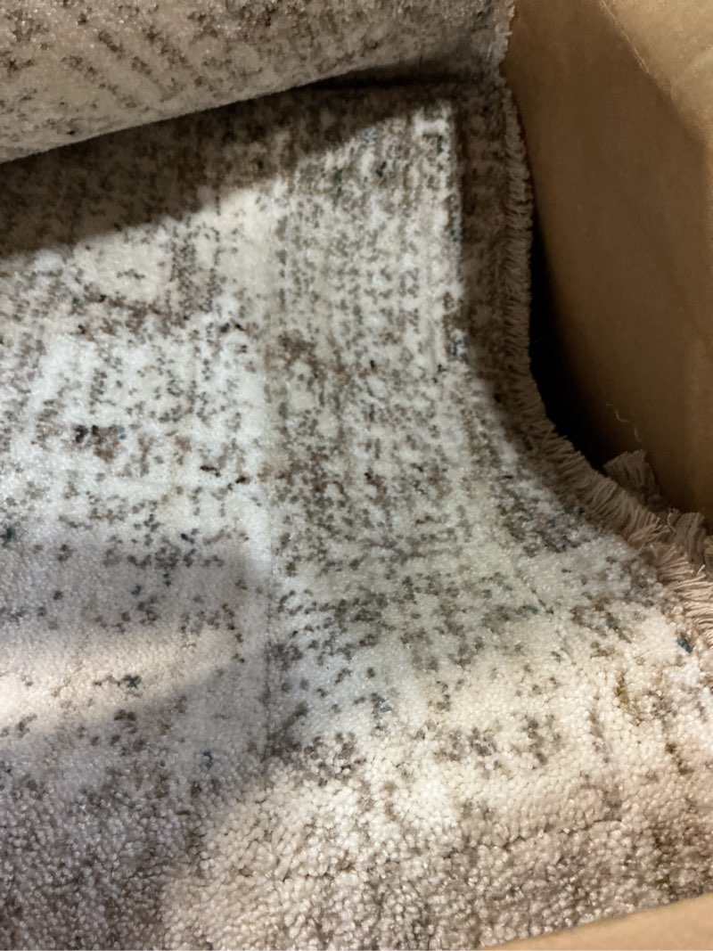 Condition photo showing Good Condition for loloi angela rose blake collection bla-06 oatmeal/spice 7'-10" x 10'-2", .25" pile height, fringe, area rug oatmeal / spice 7'10" x 10'2" (rectangular)