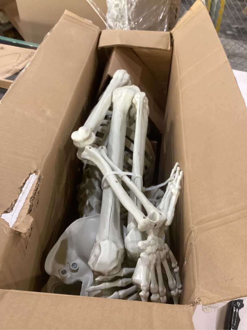 Condition photo showing Good Condition for posable human adult (5' 4") & child (3') skeleton value 2 pack - life size, articulated limbs & bones model stay in place, weather resistant indoor/outdoor decoration- anatomical science & biology