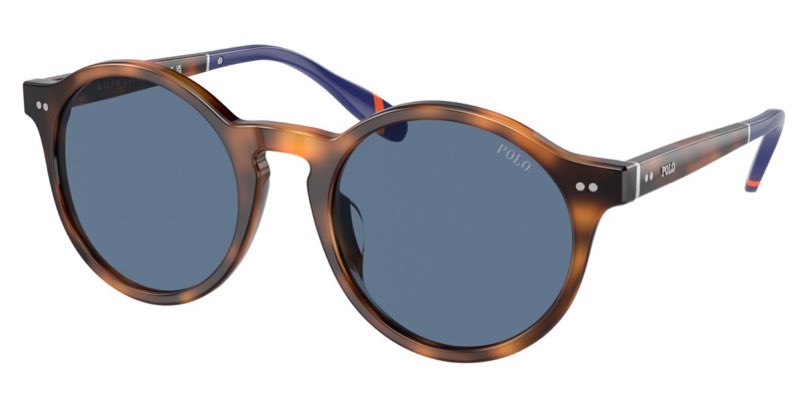 Polo Ralph Lauren PH4204U 608980