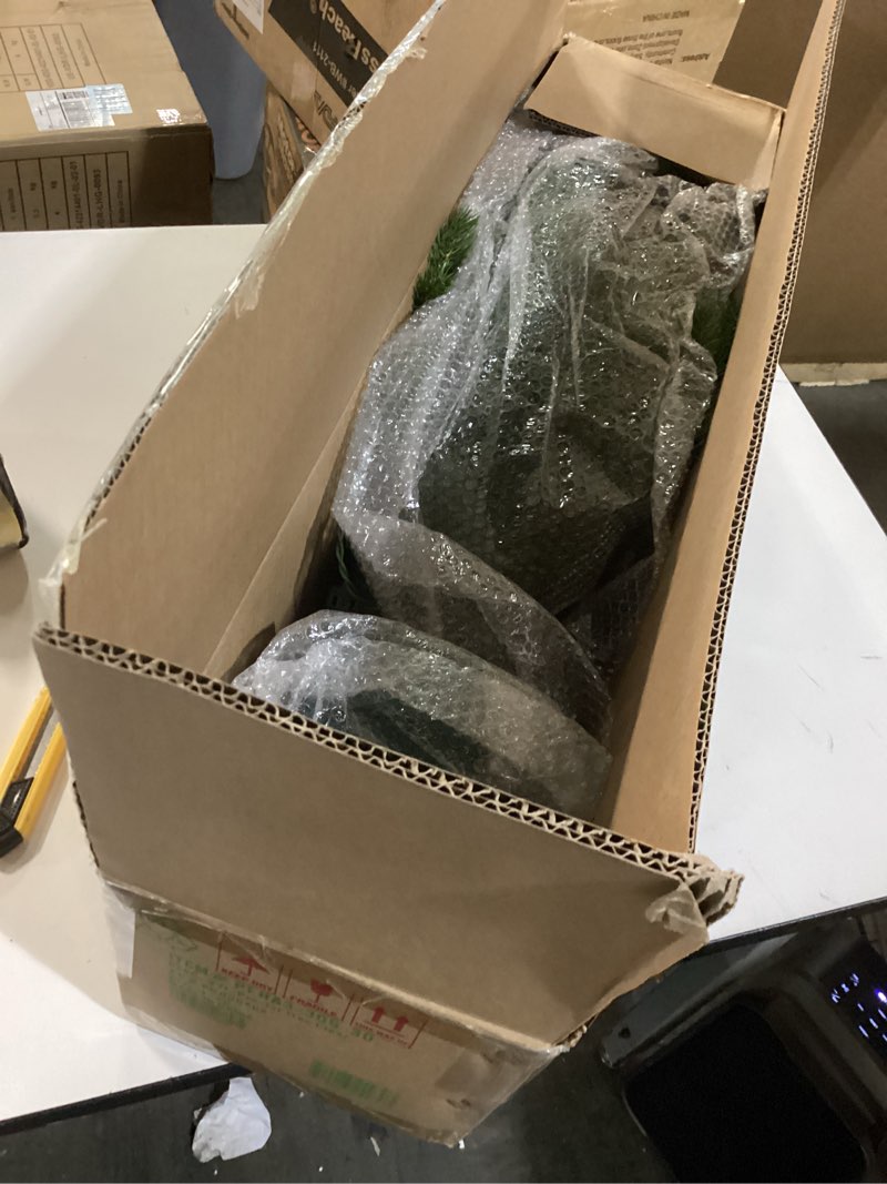 Condition photo showing New/Like New for National Tree Company 3 ft Pre-Lit Hampton Spruce Mini Artificial Christmas Tree, 100 Clear Lights, 579 Tips, Green Growers Pot