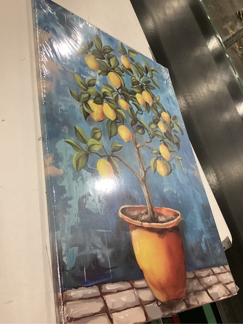 Condition photo showing Good Condition for SWQYLB Lemon Canvas Wall Art Kitchen Fruit Picture Vintage Farmhouse Lemon Tree Painting Rustic Botanical Prints Kitchen Dining Room Decor Framed (16.00" x 24.00") 24L" x 16W"