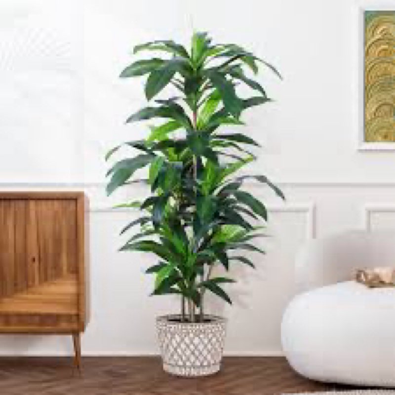 artificial dracaena tree 5ft – tall artificial indoor tree, large indoor plant for living room & hom