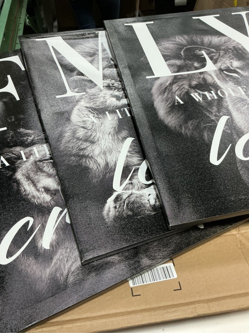 Condition photo showing Good Condition for gubiyu black gray animal wall art set of 3 lion prints - family wall decor for dining room, living room - 20”x28”\\\" modern rustic home wall art a black and gray 001 20”x28” *3pcs