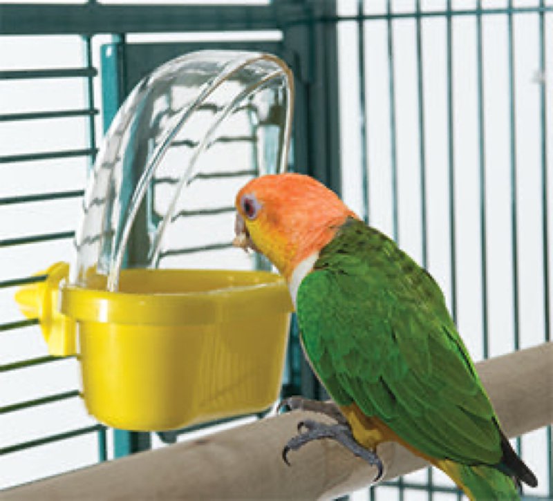 Featherland Paradise Mess-Less Hooded Bird Feeder SM-LG – Exotic Wings & Pet Things Inc 