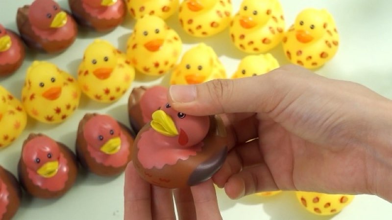 Jerify Thanksgiving Rubber Ducks 2 Inch Fall Rubber Duck with Turkey Leaf Pumpkin Nut Patterns Small