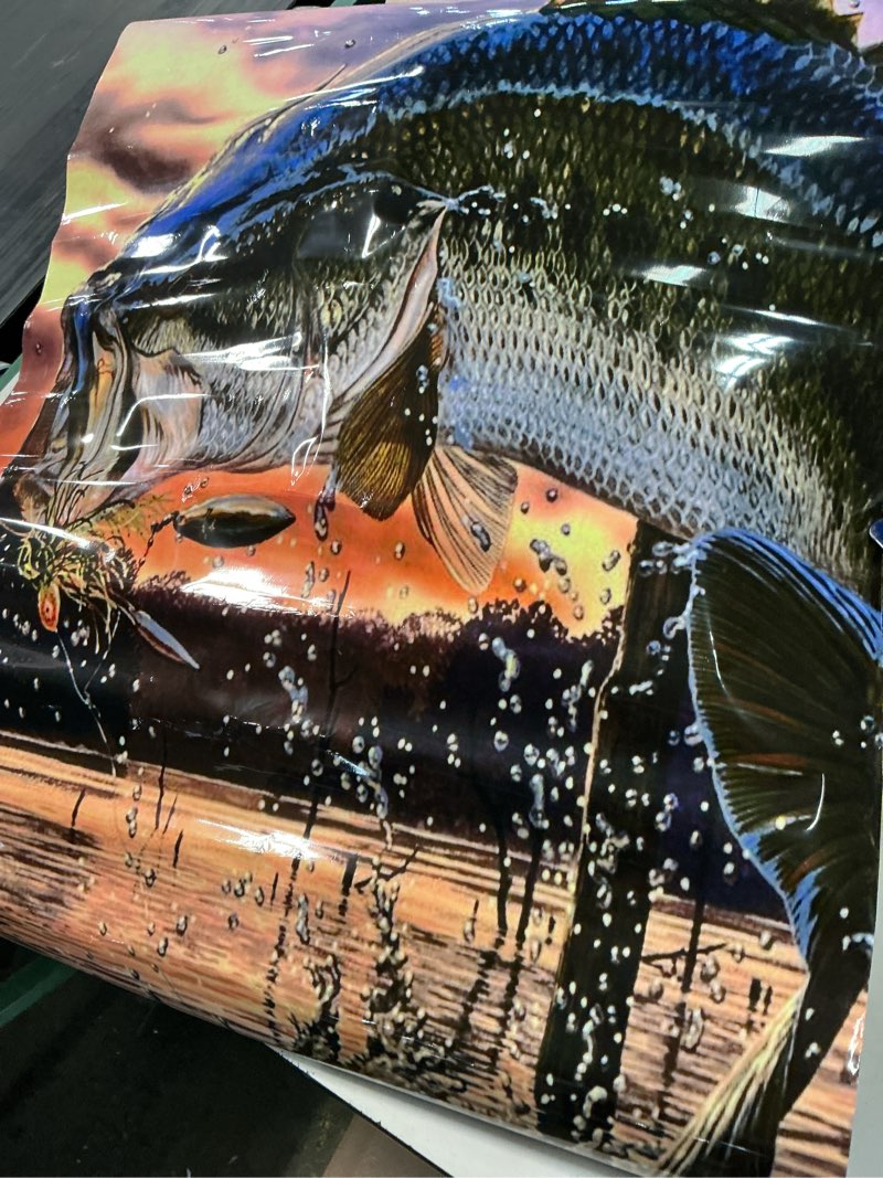 Condition photo showing Good Condition for graphix express - fish cornhole board wrap - c220 bass fishing - laminated weatherproof vinyl decal - easy bubble-free application - stickers dimensions: 2' x 4' - set of 2