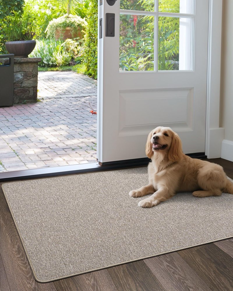 Fasttrackazon Everyday Goods!