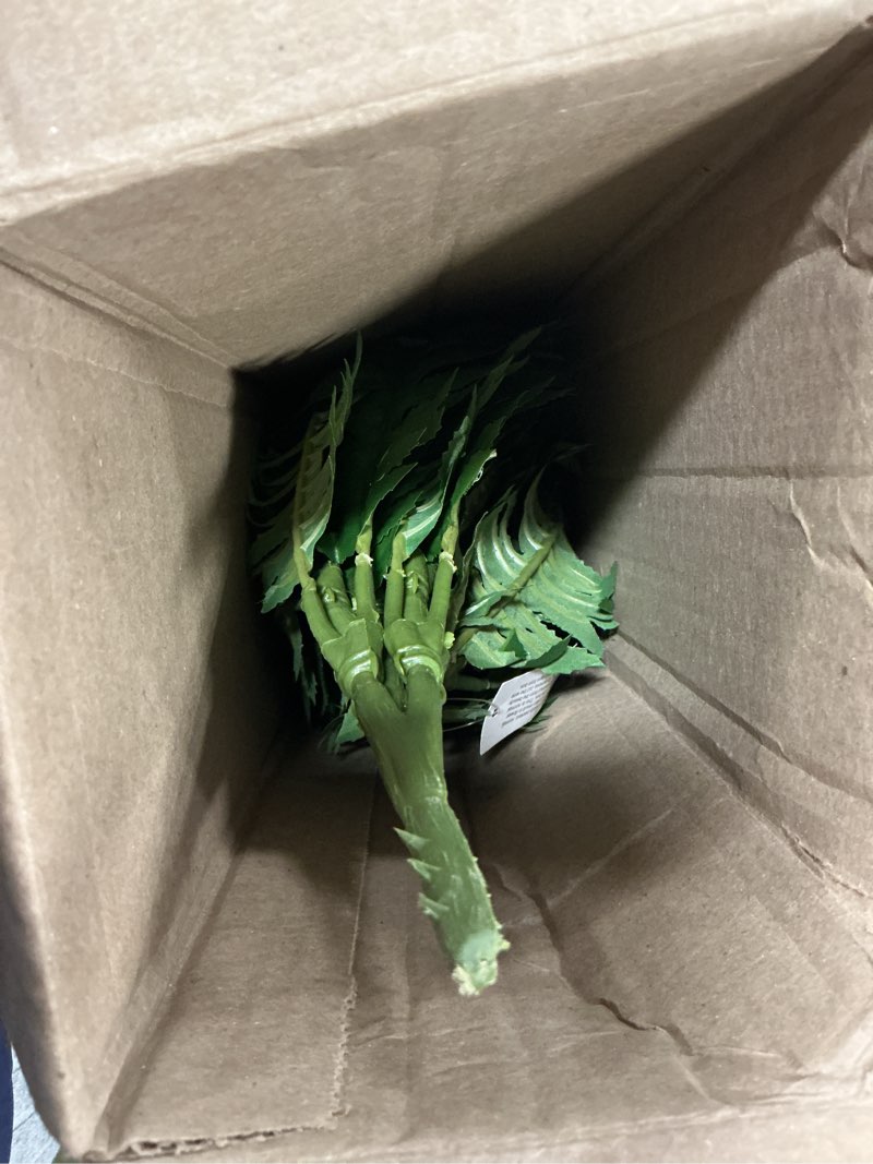 Condition photo showing Good Condition for Nearly Natural 40IN Artificial Boston Fern Large Hanging Plant, Set of 2 Artificial Ferns that Look Real for Home Décor