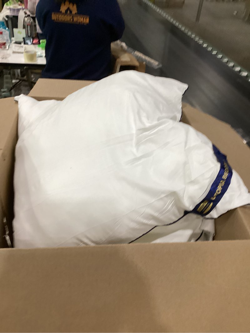 Condition photo showing As Is for puredown® 20x20 Pillow Inserts Set of 2, Fluffy Overfilled Down Alternative Decorative Pillows, Soft Plush Throw Pillows for Couch, Sofa, Bed and Home Decor 1 20x20 Inch (Pack of 2)