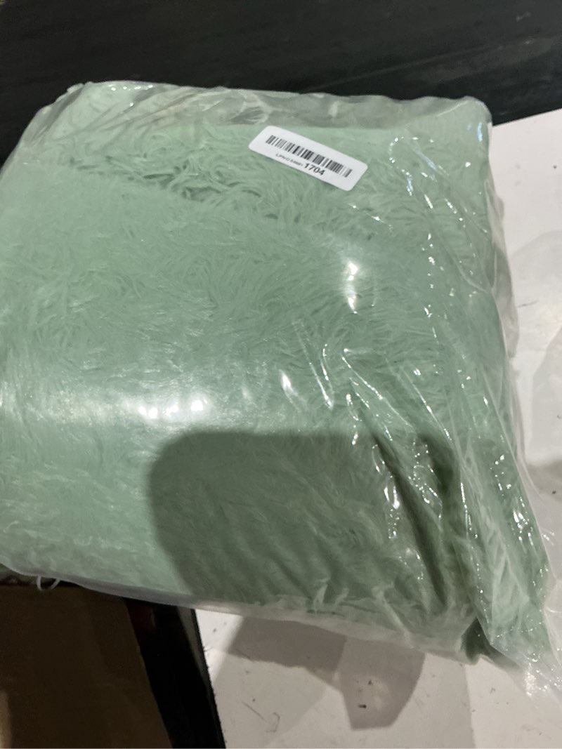 Condition photo showing As Is for dweike fluffy sage green rugs for bedroom living room, 4x6 feet soft plush shaggy light mint green girls boys kids rug, non-slip and machine washable carpet for dorm nursery classroom decor 4 ft x 6 ft green