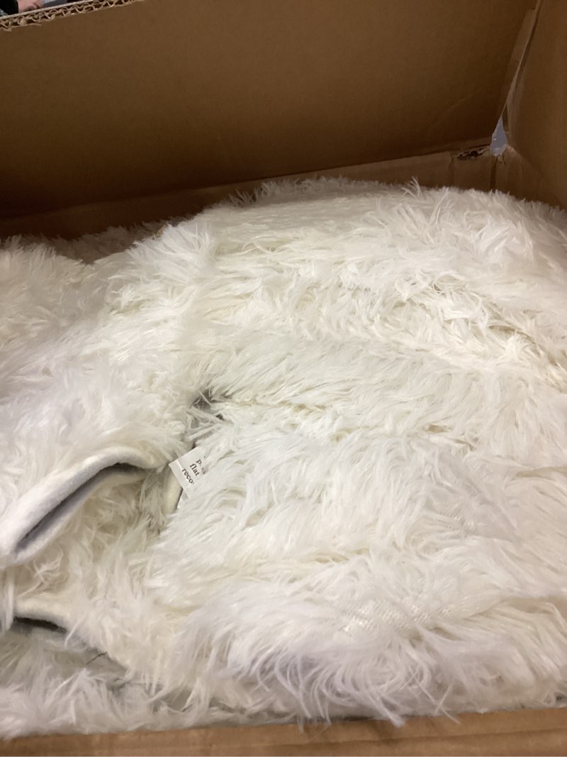 Condition photo showing As Is for 8x10 Area Rugs for Living Room, Ultra Soft Fluffy Large Shaggy Rug Carpet for Bedroom, Non-Slip Fuzzy Plush Rugs for Nursery Boys Girls Kids Room Modern Indoor Home Decor, Cream White 8x10ft Cream White