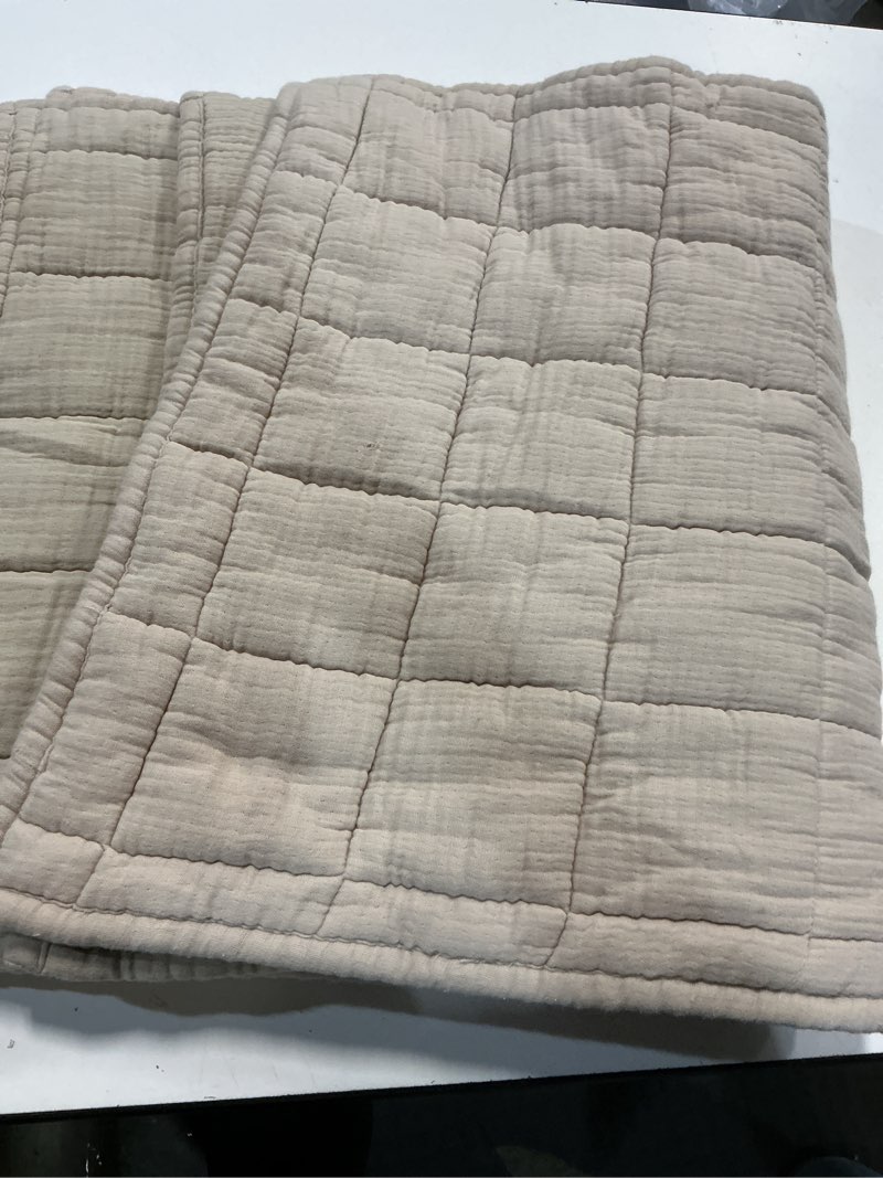 Condition photo showing Good Condition for quince king sham 20 in x 36 in 51 cm x 91 cm yvory