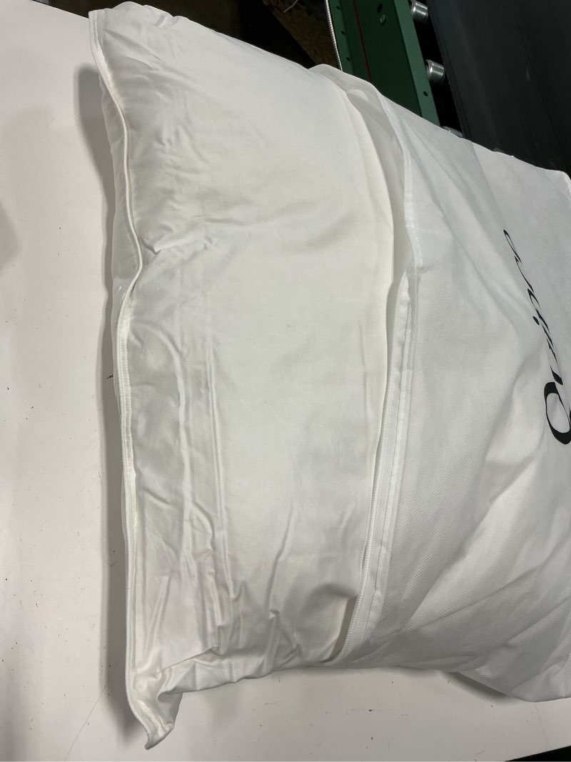 Condition photo showing Good Condition for luxe goose down pillow, standard, soft/medium