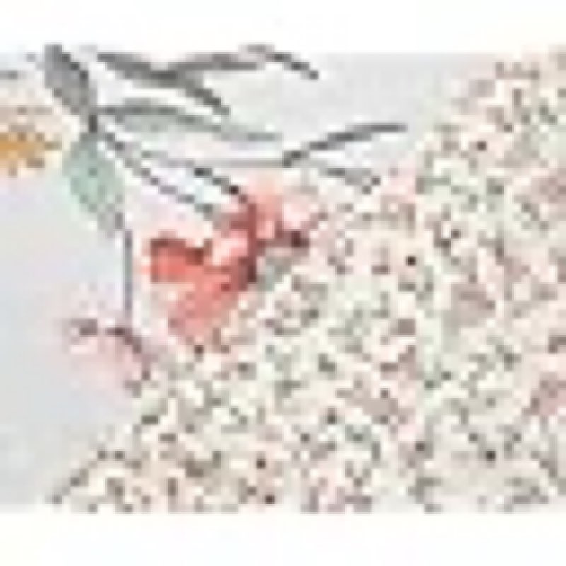 sleepbella duvet cover queen, 600 thread count cotton red & yellow floral pattern flower reversible comforter cover(queen, white floral)
