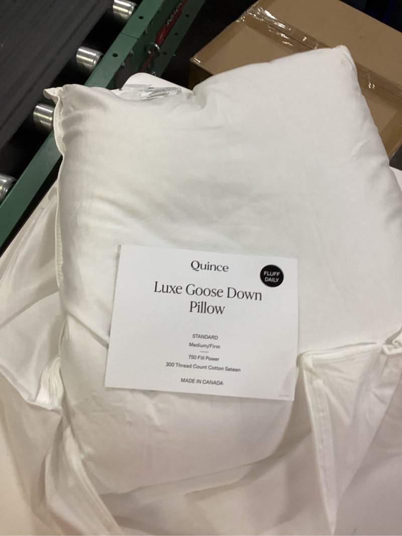Condition photo showing As Is for quince home luxe goose down pillow soft/medium standard