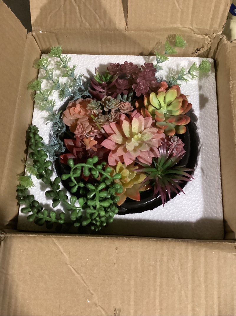 Condition photo showing Good Condition for MyGift 10 Inch Modern Artificial Succulent Arrangement Potted in Matte Black Ribbed Ceramic Round Planter, Decorative Plant Pot with Assorted Faux Mini Succulents