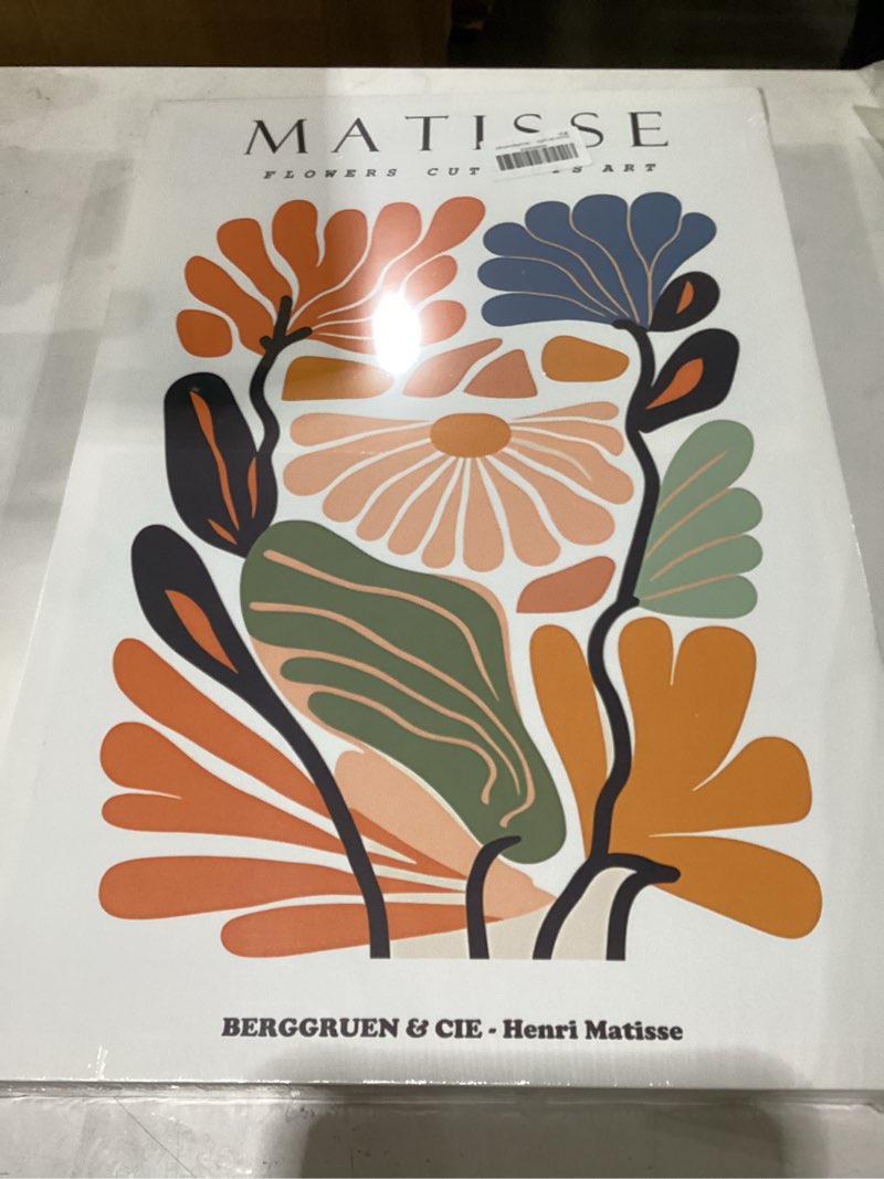 Condition photo showing New/Like New for 3Pcs Framed 16x24in Matisse Wall Art Canvas Colorful Boho Flower Posters Abstract Pictures Minimalist Plant Leaves Painting Prints Decor Aesthetic for Living Room Bedroom Dorm Colourful-Canvas Framed 16"x24"