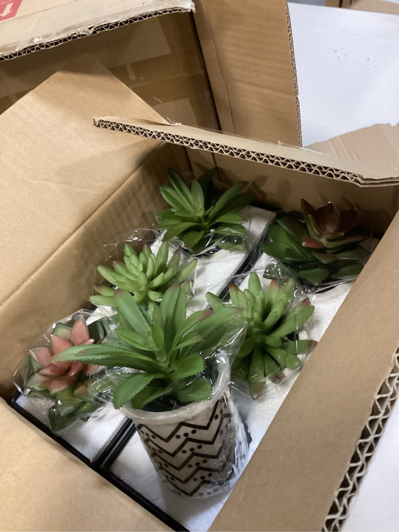 Plants $30.54 FREE delivery October 23 - November 4. Details Delivering to Balzac T4B 2T – Update location In Stock Quantity: Quantity:1   Add to Cart   Buy Now Ships from Pretty-Home Sold by Pretty-Home Returns Eligible for Return or Refund within 30 days of receipt Payment Secure transaction Add to Wish List  Pretty Home Potted Artificial Succulent Plants, (4pieses), Tile Pattern Pot 3.5&#34; Touch the image to zoom in                      Pretty Home Potted Artificial Succulent Plants, Set of 2, Tile Pattern Pot 3.5\"