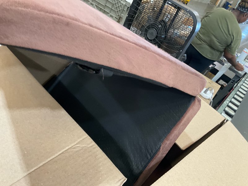 Condition photo showing As Is for cushion