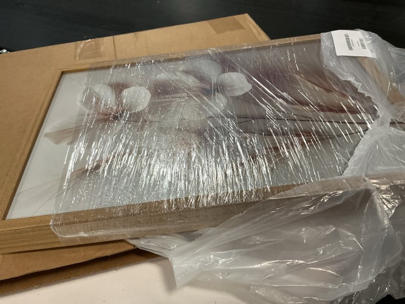 Condition photo showing As Is for fyldpsb 3pcs framed neutral beige floral canvas wall art, modern simple texture plant painting wall 