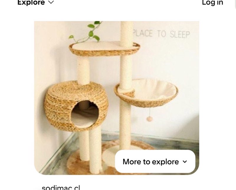 Inspiration: Perfect spaces for my pet | Blog Homy