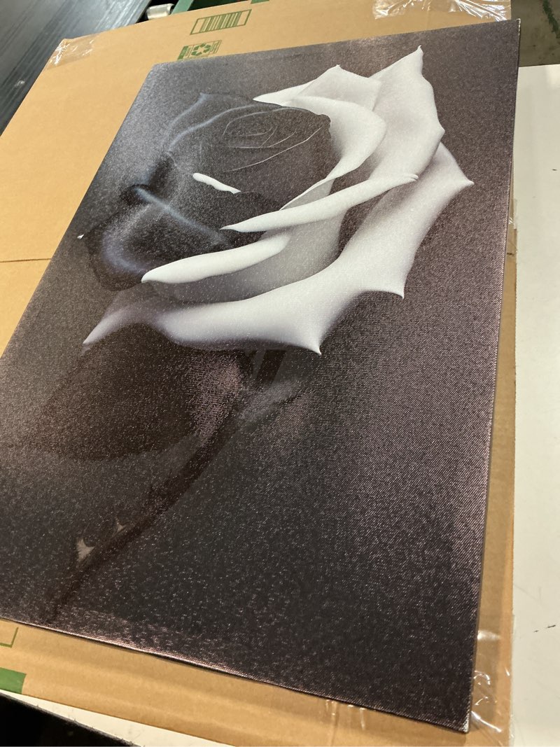 Condition photo showing Good Condition for black and white rose canvas wall art modern rose flower poster print wall decor picture rustic floral painting for living room bedroom bathroom farmhouse home decoration 16"x24" black and white rose 16x24in-canvas