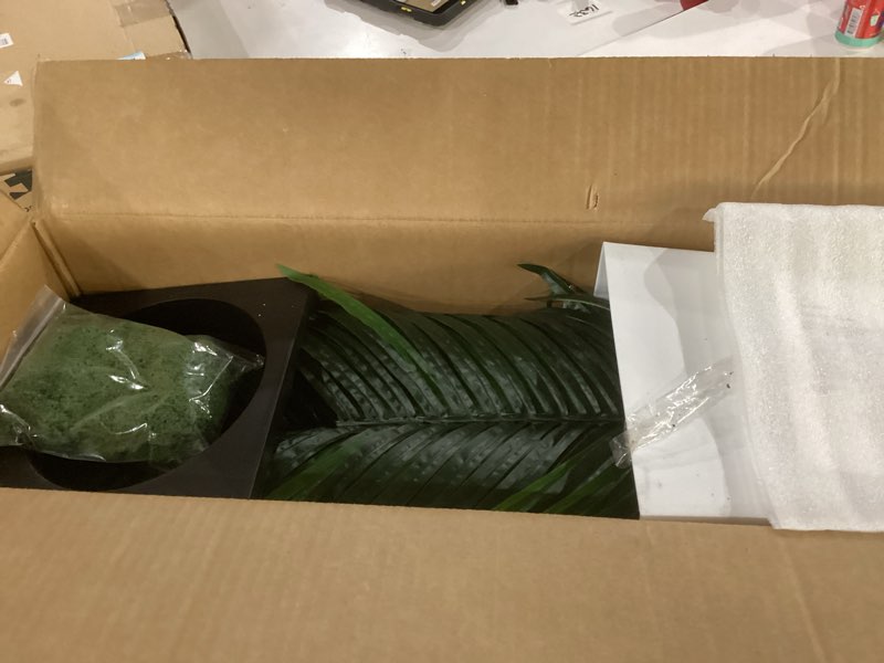Condition photo showing Good Condition for artificial palm tree 5ft - fake tree with white tall planter - faux tropical areca floor plant in pot - artificial silk plant for home office living room decor indoor white 5ft