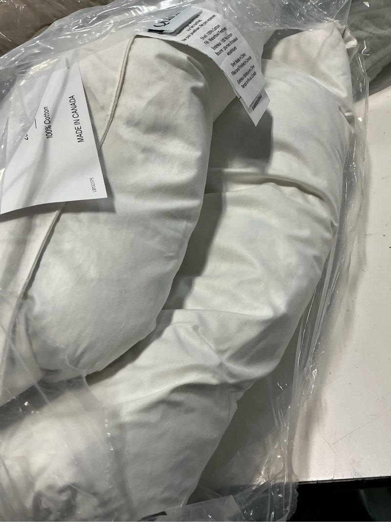 Condition photo showing Good Condition for premium feather pillow insert (set of 1), 20x20, no color