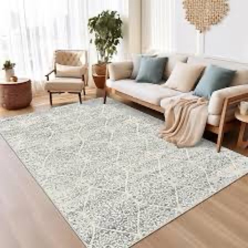 Soalmost 6x9 Area Rugs for Living Room, Stain Resistant Neutral Washable Rugs for Dining Room, Flora