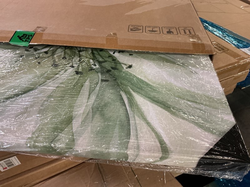 Condition photo showing New/Like New for Wexford Home Macro Sage Flower II Gallery Wrapped Canvas Wall Art, 40x40,