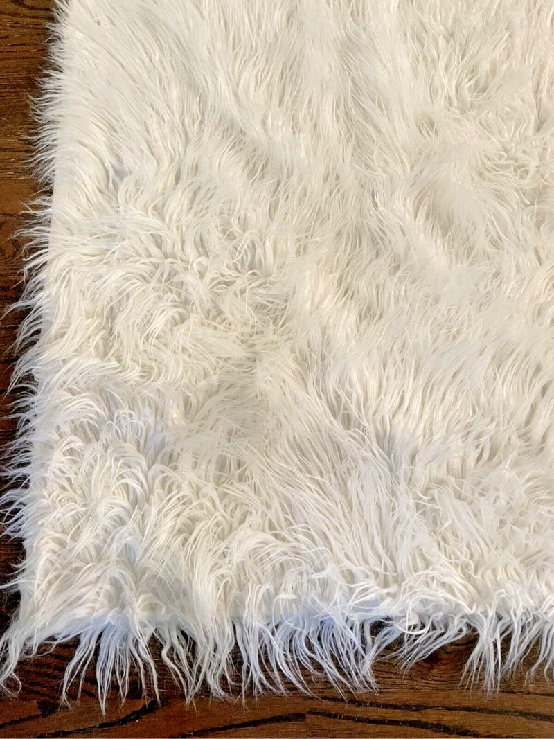Area Rug size 10 X 14