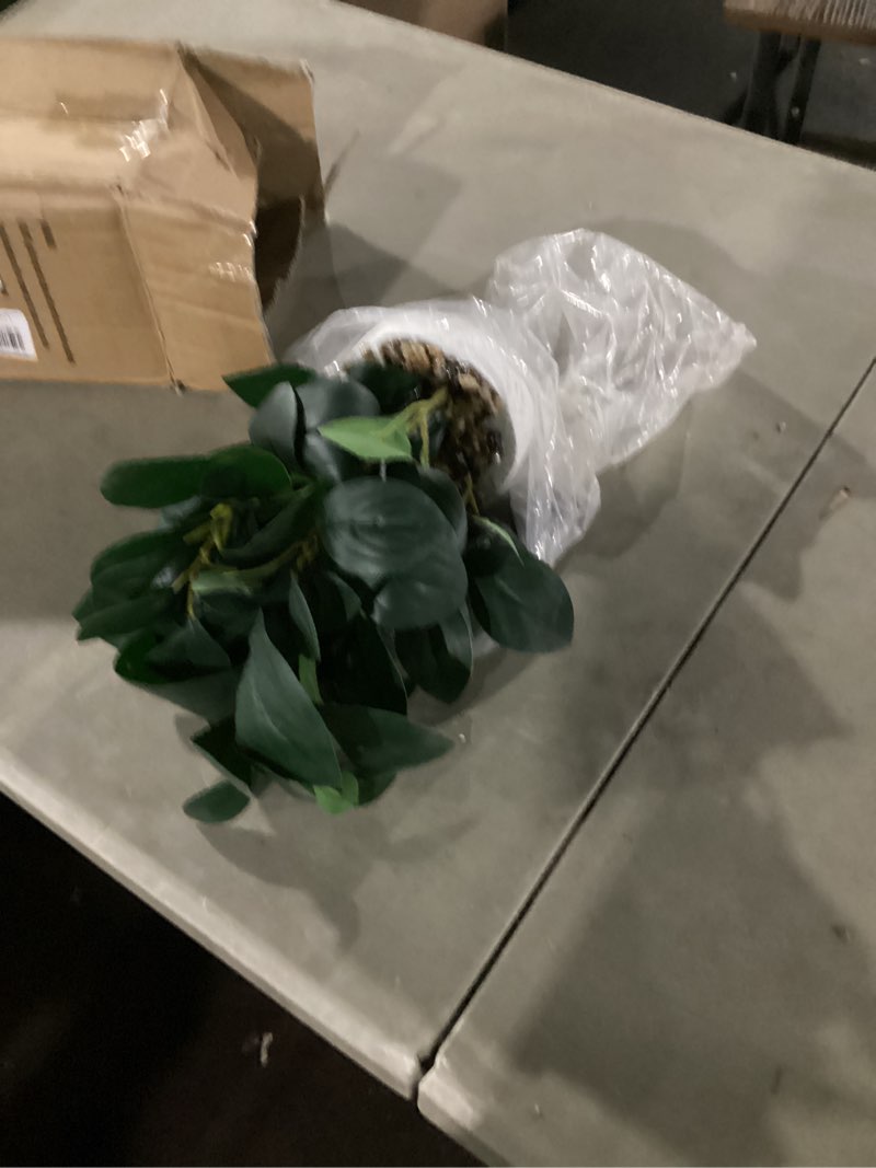 Condition photo showing As Is for AlphaAcc Artificial Succulents Plants Decor Greenery Fake Succulents Indoor Potted Fake Plant with Rustic Black Clay Planter for Farmhouse Room Bathroom Bedroom Kitchen Office Dese Coffee Table Decor 12.8" H