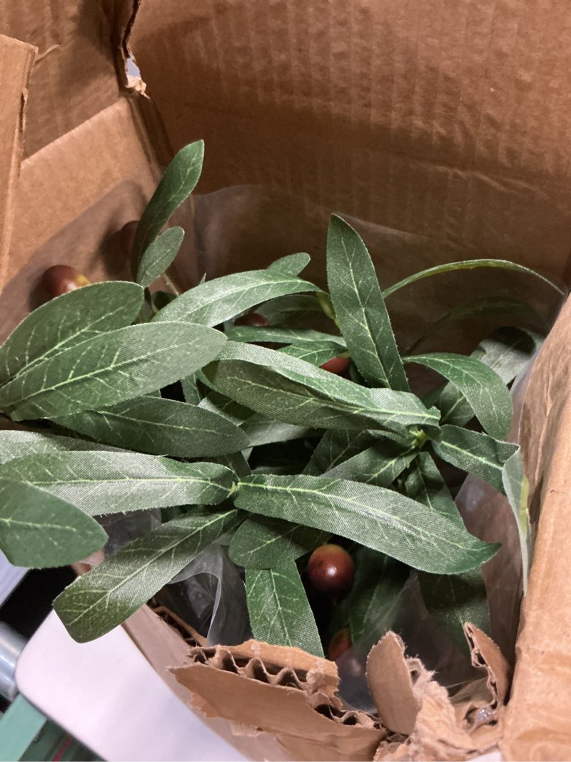 Condition photo showing Good Condition for alphaacc 18 inch artificial olive branches real looking potted plant fake olive tree with lifelike leaves and fruits in rustic black cement planter faux greenery plant for indoor outdoor decor green olive plant 18" h