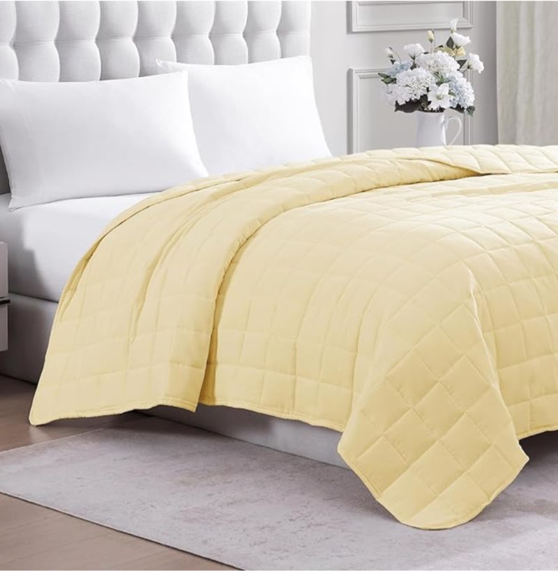 Lightweight All Season - Premium Microfiber Down Alternative - Vanilla
