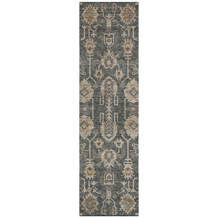 Myda Washable Oriental Indoor / Outdoor Rug