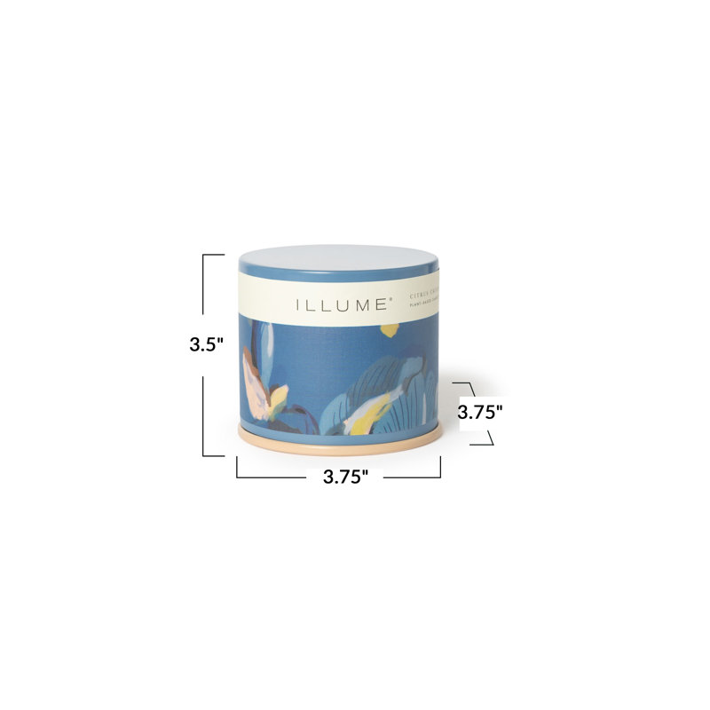 https://lotting-media.assets.bidfta.com/lotting_web_search_1751909729121