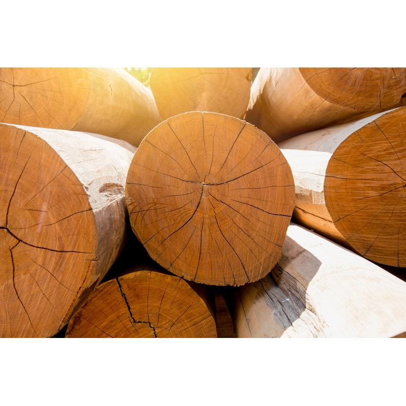 " Stack Of Large Wood Log "