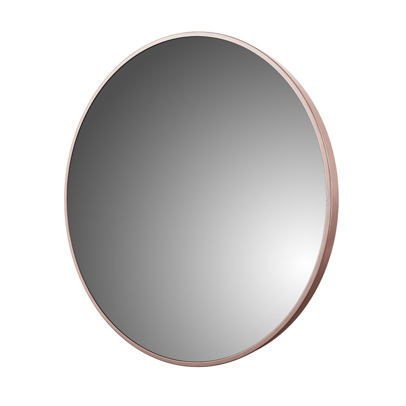 Metal Flat Wall Mirror (color may vary ours is brushed nickel)