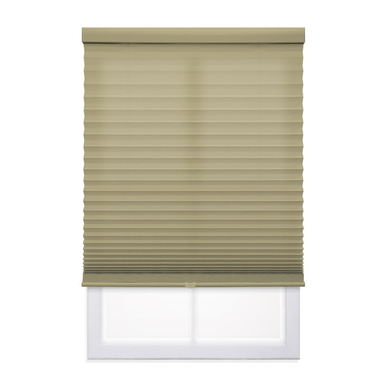 Coursey 1 inch Cordless Semi-Sheer Light Filtering Pleated Shade