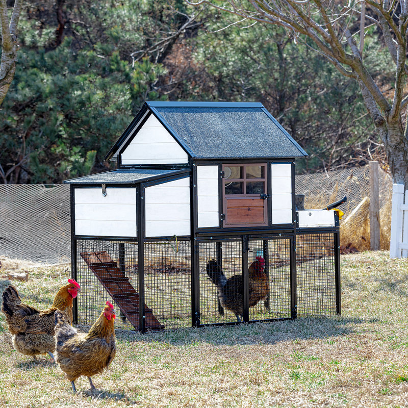 Exael Steel Frame Chicken Coop with Raised Bed Planter