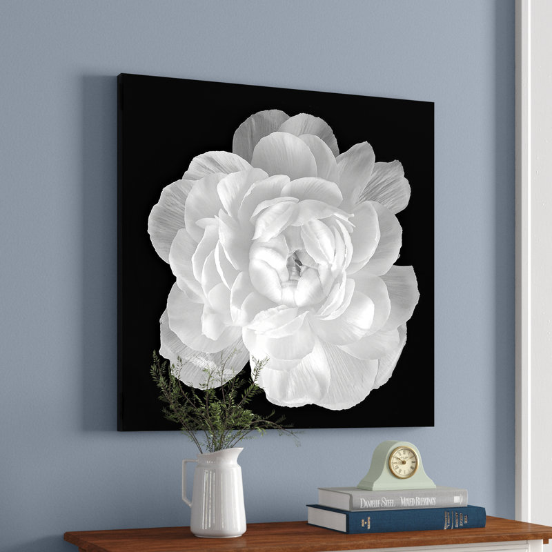 " Ranunculus " by Jonathan Shuff