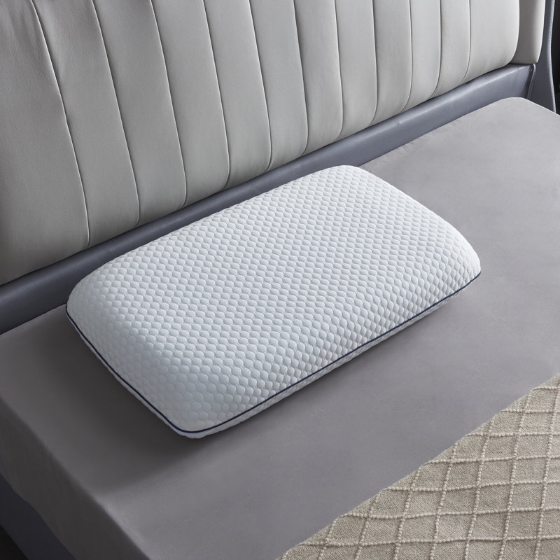 Wayfair Sleep™ Memory Foam Medium Support Pillow( similar ) 