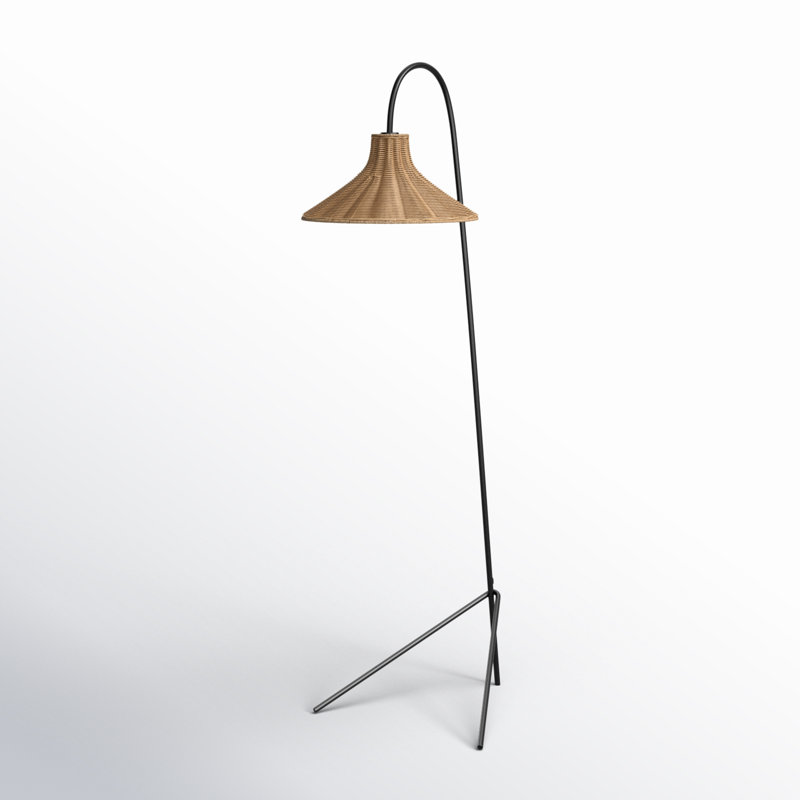 Sylvia 67'' Black Tripod Floor Lamp
