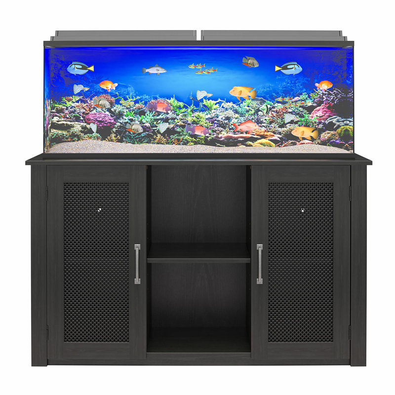 Desha 55 Gallon Aquarium or Terrarium Stand