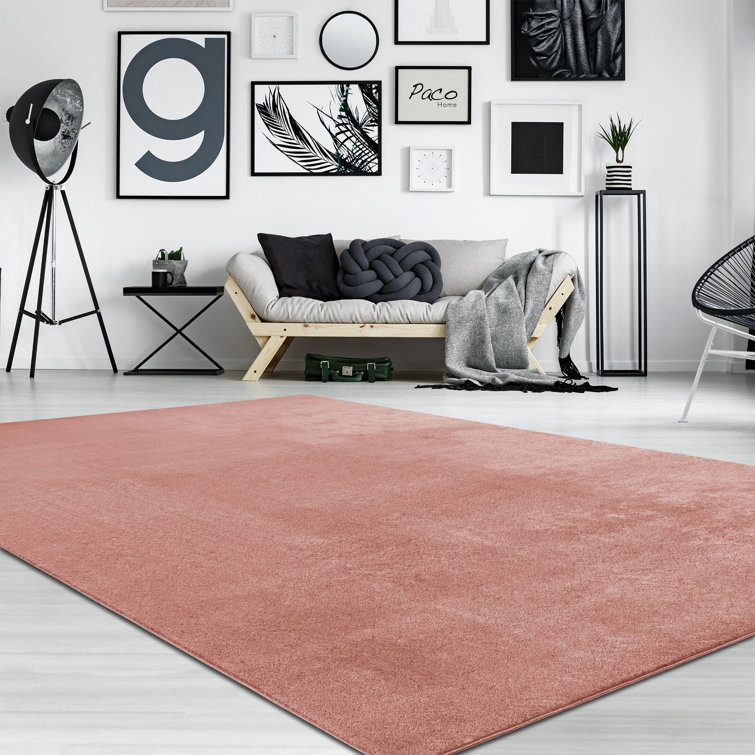 Snowcreek Washable Indoor Rug