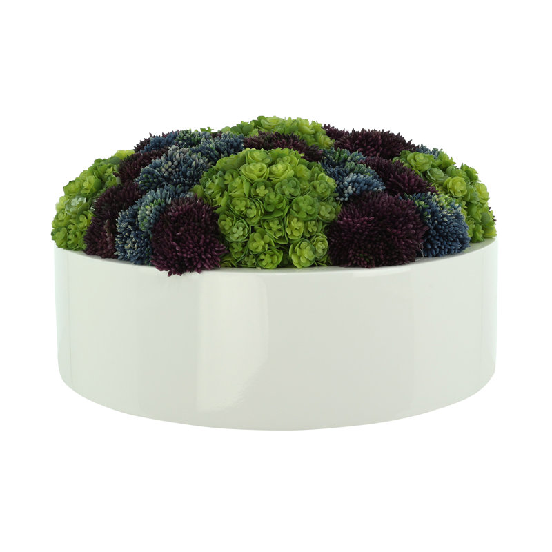 Sedum and Chick Succulent Arrangement