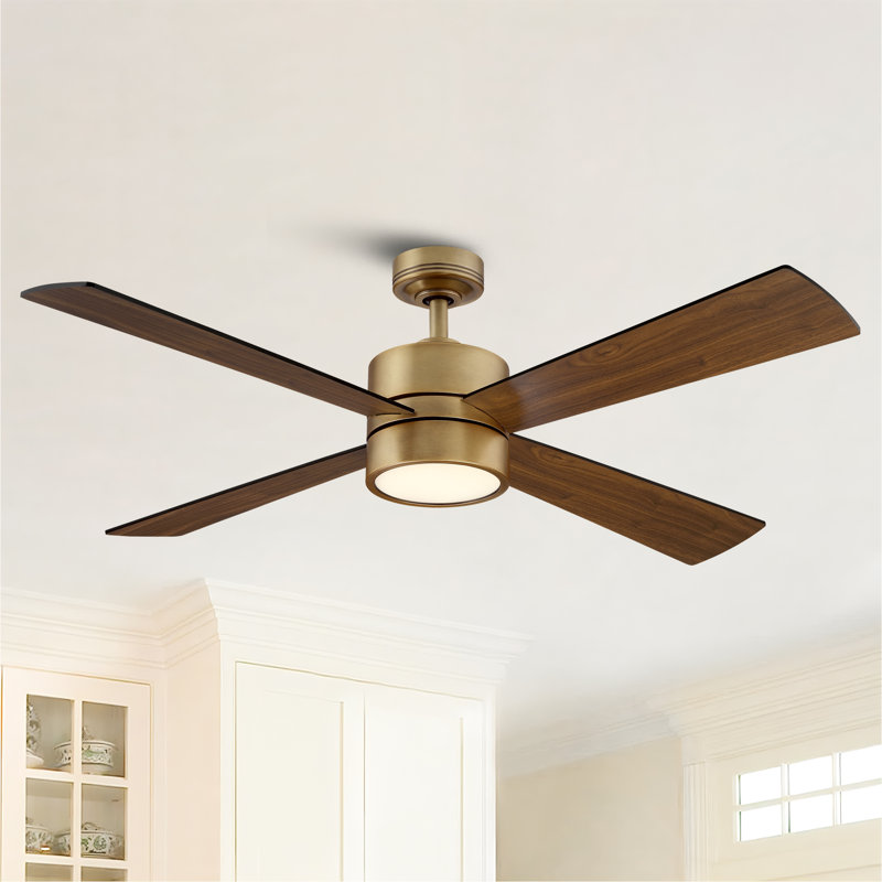 Camran 52'' Ceiling Fan with LED Lights NOT TESTED 